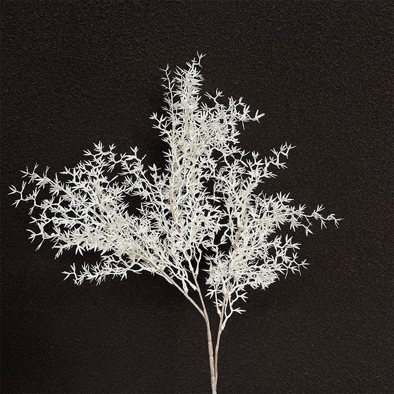 Givre blanc