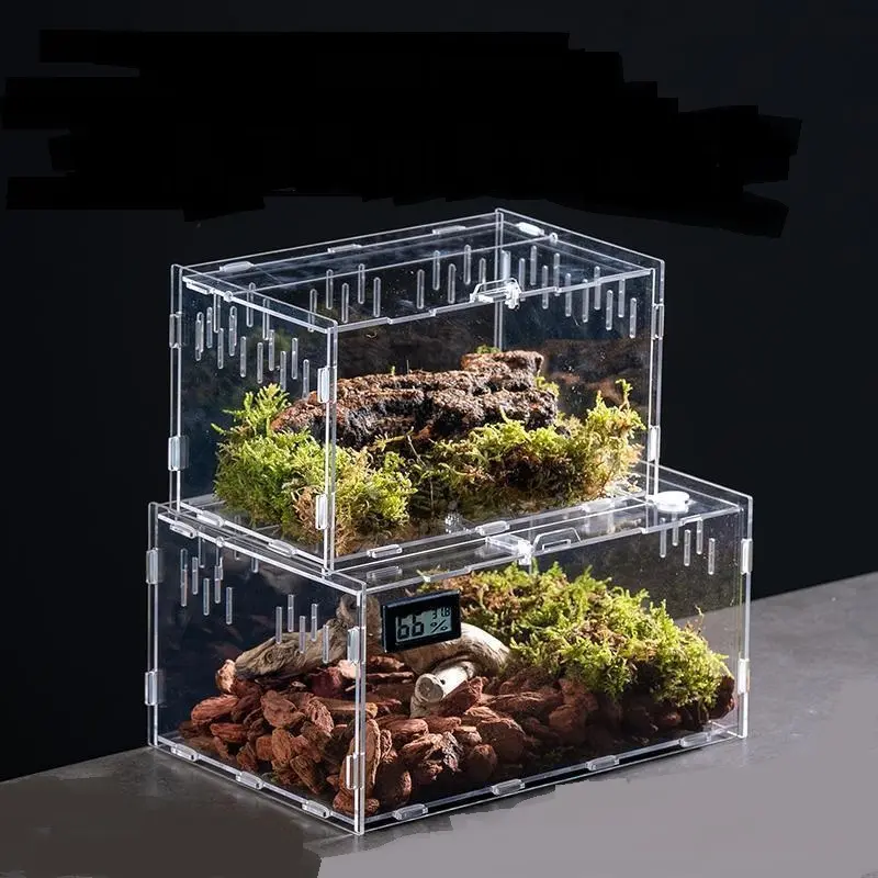 Qbellpet custodia rettile acrilico di alta qualità magnetico paesaggistica scatola assemblaggio tipo terrario gabbia per rana ragno insetto