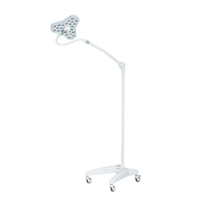 OEM/DOMシーリングシングルLEDマイナー手術ライトEXLED300 - Product Image 3