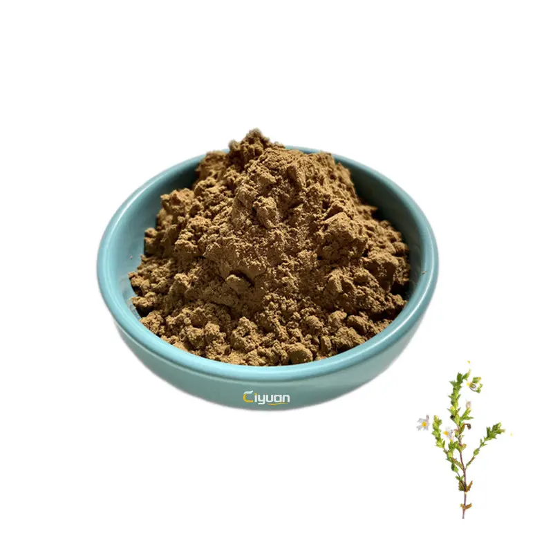 Pasokan Pabrik Harga Terbaik 4:1 Alami 10:1 Eyebright Ekstrak Eyebright Herb Powder