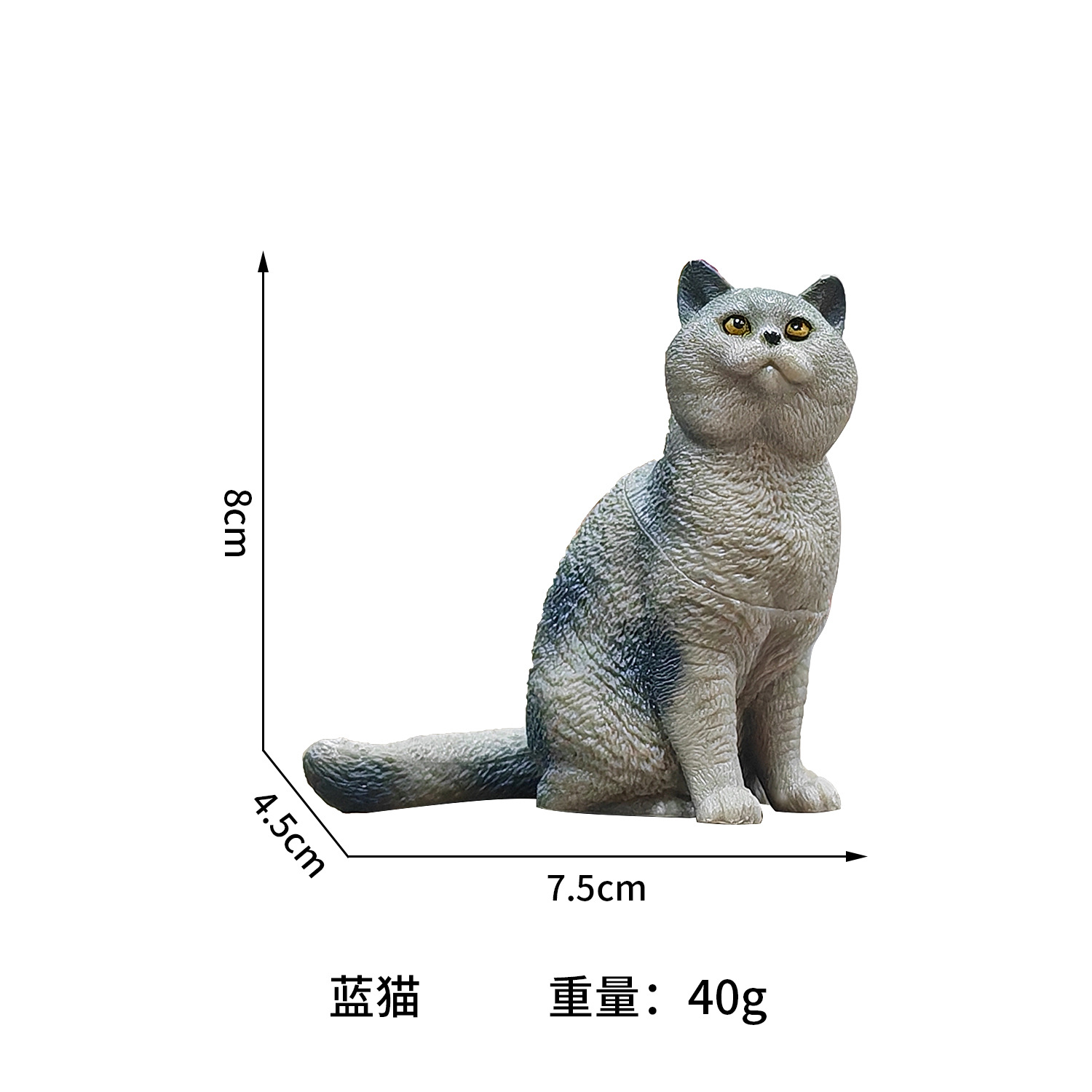 Sphynx britannique (bleu)