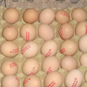Impresora de inyección de tinta de caracteres pequeños Markem Imaje 9410 para imprimir fechas de producción para bolsas de plástico, botellas y huevos - Product Image 4