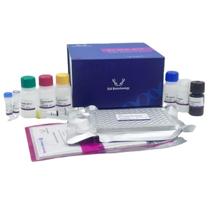 ชุด ELISA proc (โปรตีน C) สำหรับการวิจัยใช้ - Product Image 1