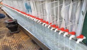 <strong>Dewatering</strong> Slude Screw <strong>Press</strong> Tianniwei Manure Dryer Sludge <strong>Dewatering</strong> Machine Volute Screw <strong>Press</strong>