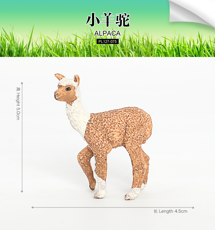 075 Alpaca bambino