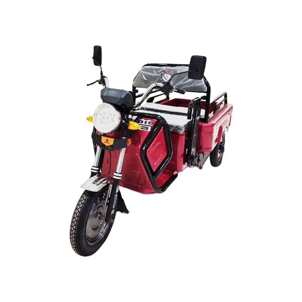 Customize Factory Supply Red/Blue/Green/Yellow 150Cc 3 Wheel Motorized Tricycles Electric Tricycle For Adult Use