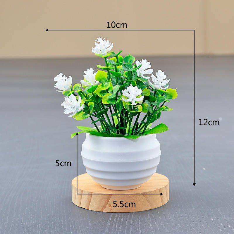 coupe de football blanche + fleur d'eucalyptus blanche