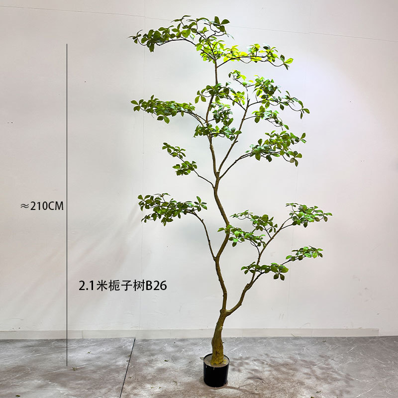 Arbre gardénia de 21 mètres, modèle B26