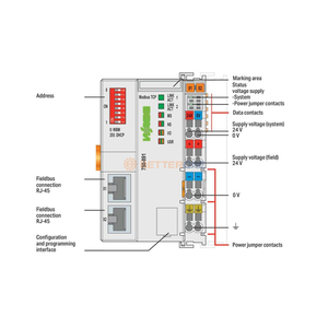 Marchio originale tecnologia di automazione PLC Controller Modbus TCP; 4a generazione; 2 Ethernet 750-891 - Product Image 2