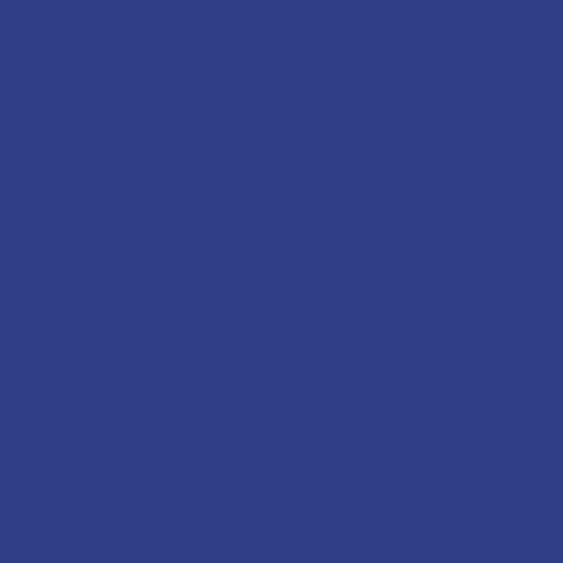 08-BIC BLEU