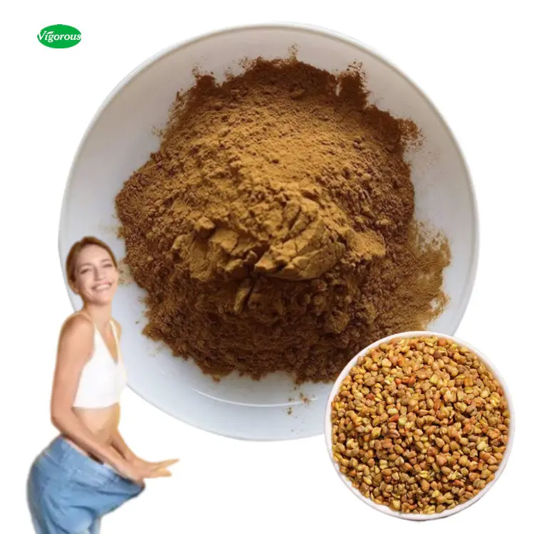 100% pure health food Fagopyrum esculentum 95% rutin estratto di semi di grano saraceno