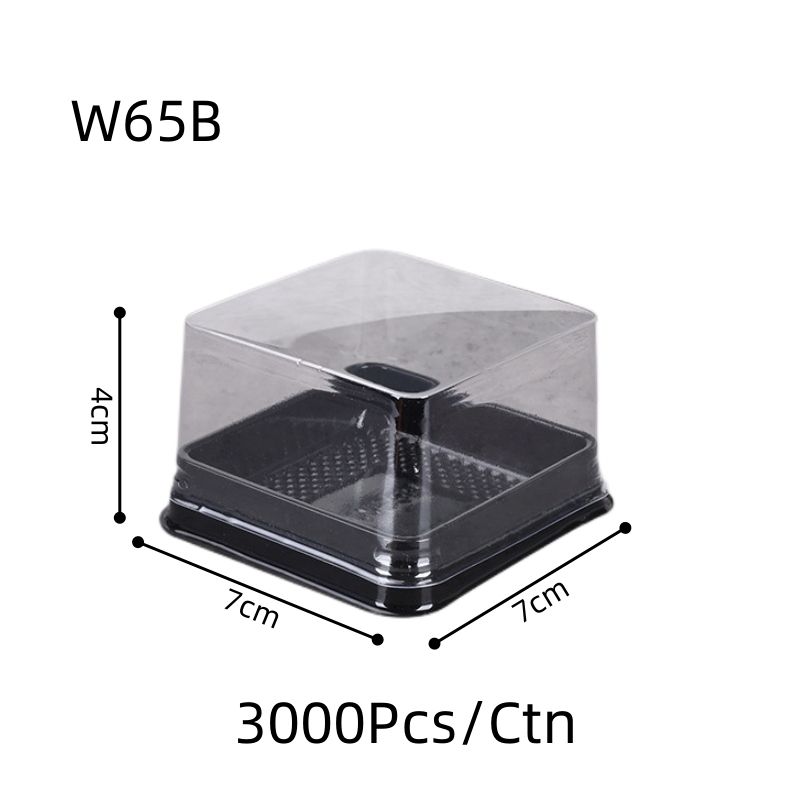 W65B Black