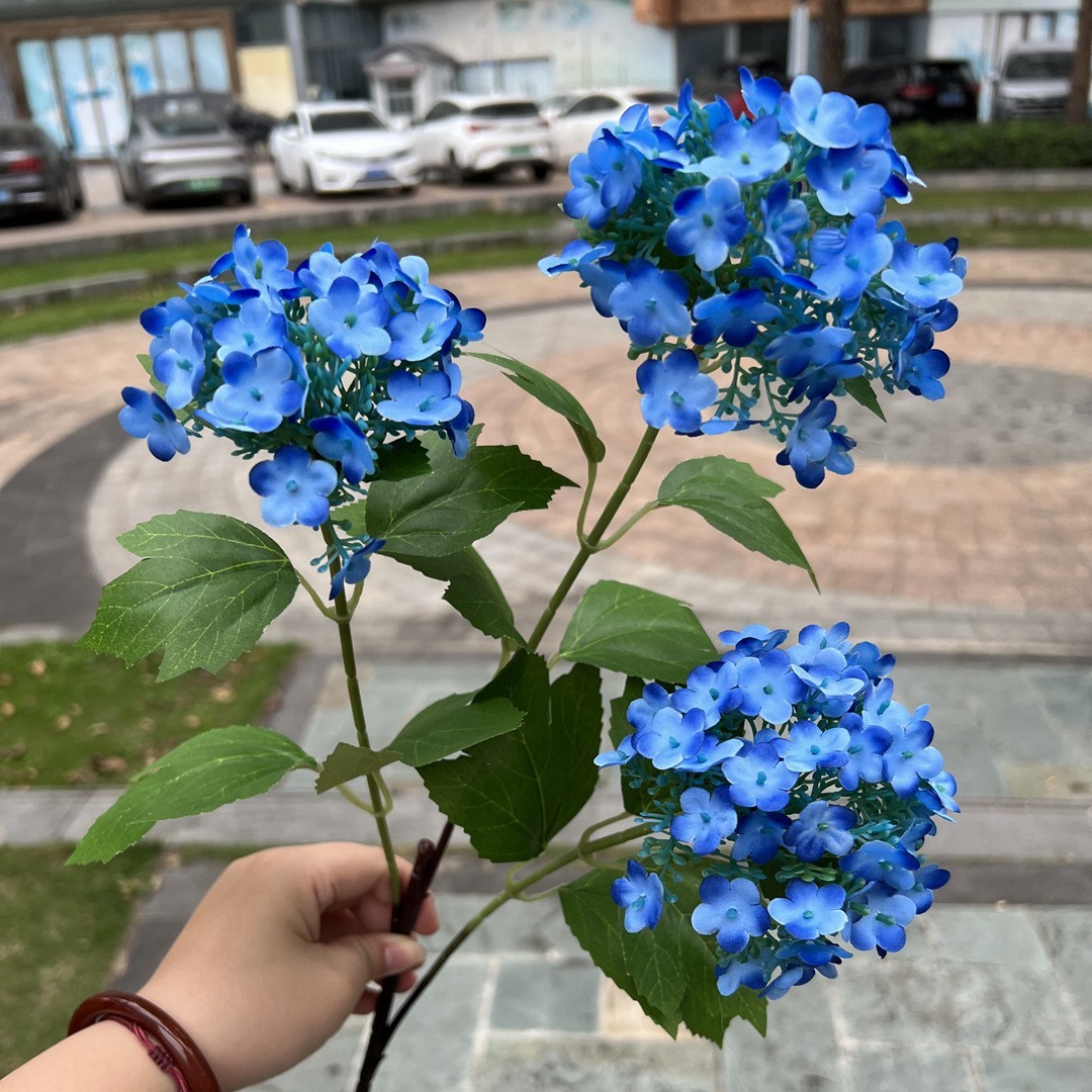 Bleu Poussiéreux, hortensia en bois bleu à 3 têtes