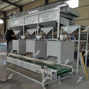 Industrial Automatic Macadamia Grading <strong>Sorting</strong> <strong>Machine</strong> Breaking Macadamia Nut Cracking <strong>Shelling</strong> Processing Equipment - Product Image 6