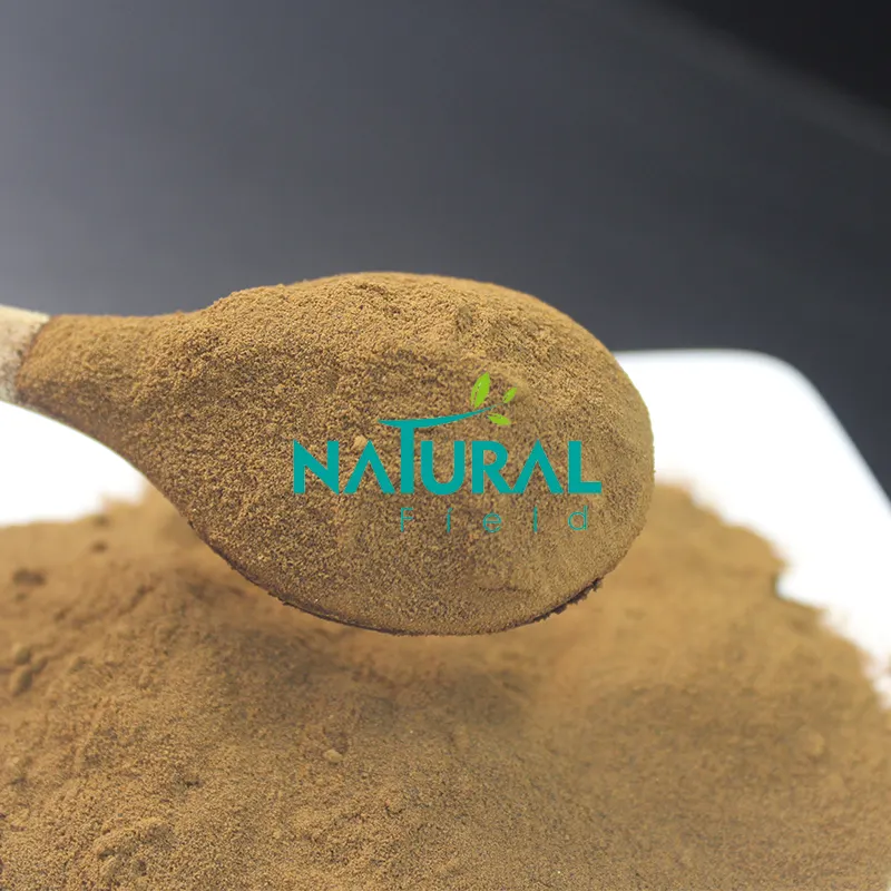 Factory Hot Sale Red Reishi Mushroom Seed Spore Powder 10%-50% Polysaccharides Ganoderma Lucidum Reishi Mushroom Extract Powder