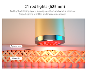 LEDライトセラピーマシン633nm赤と830nm赤外線体のしわ除去と肌の若返りデスクトップタイプPdt LED - Product Image 4