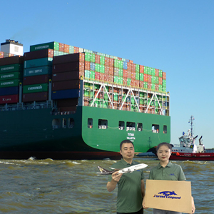 <strong>Free</strong> <strong>Shipping</strong> Seafreight Forwarder From China to USA FBA - Product Image 2