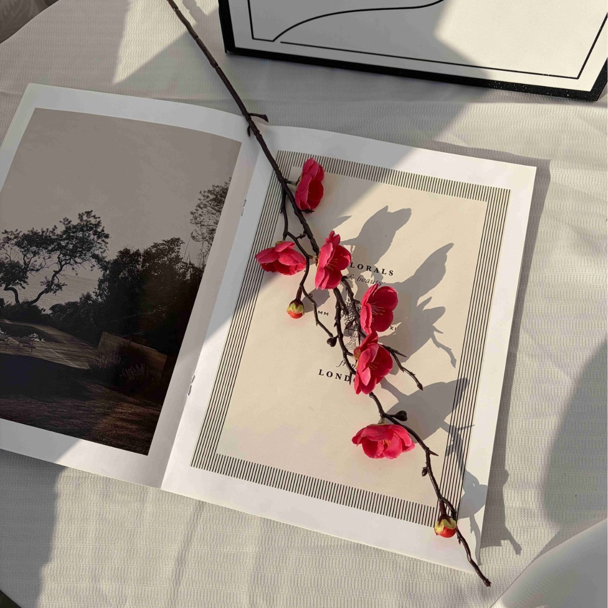 Ruyi plum blossom rose red