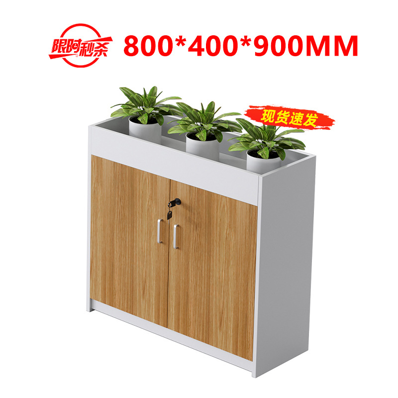 2 door white flower tank cabinet