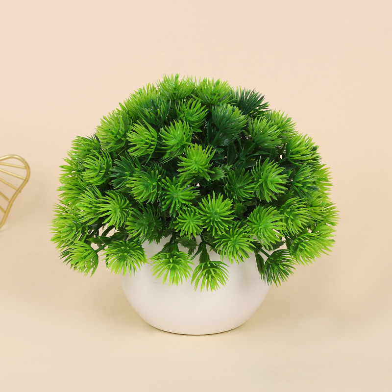 Sosteniendo plantas verdes