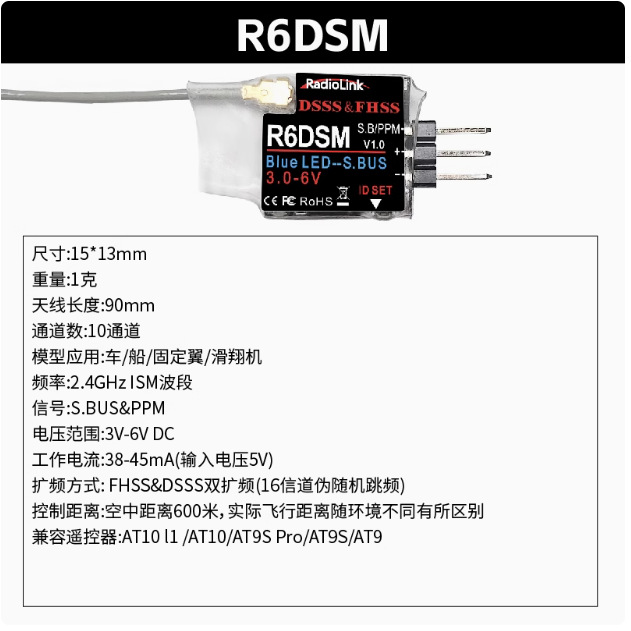 R6DSM