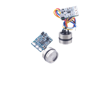 High Accuracy 4~20mA/<strong>RS485</strong> <strong>Output</strong> Module High Stability Pressure <strong>Sensor</strong>