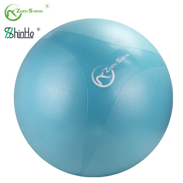 Zhensheng Entertainment Gym Fitness Exercise Ball for Yoga Pilates