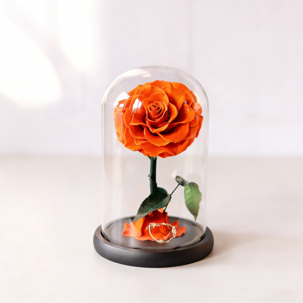 Arancione 12*20