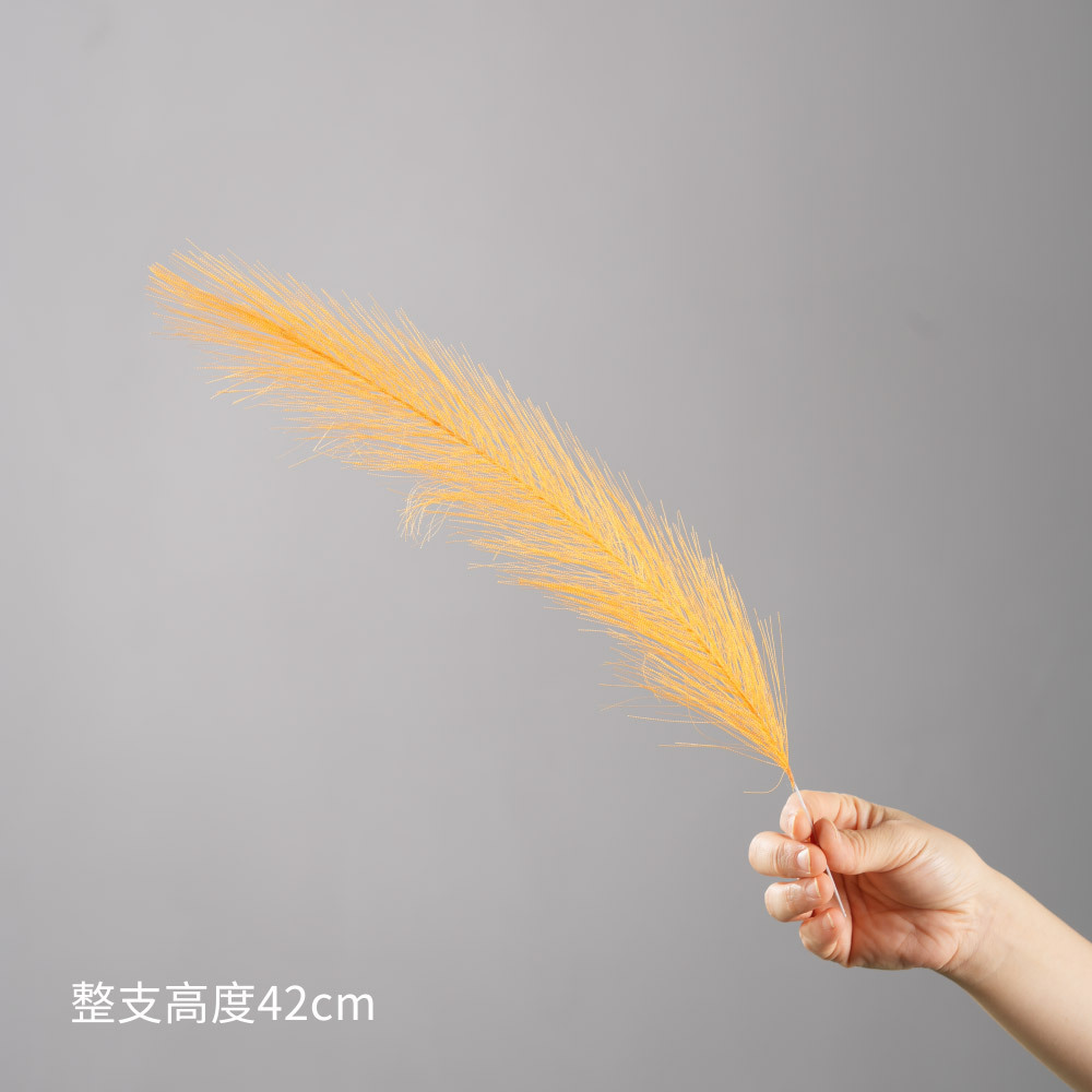 สีส้ม