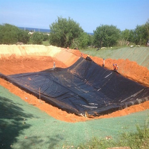 <strong>HDPE</strong> <strong>LDPE</strong> PVC EVA Material Flexible <strong>Hdpe</strong> Geomembrane 1mm for Fish Farming - Product Image 5