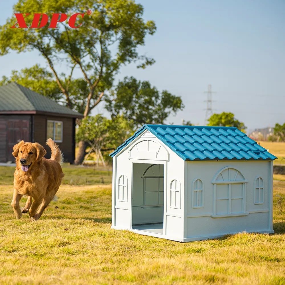 XDPC toptan plastik açık kapalı plastik pet kennels köpek evi