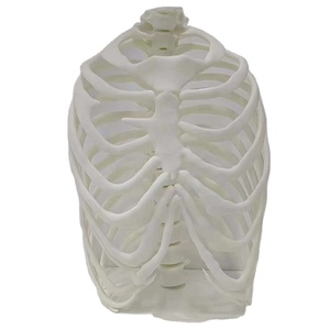 Servicio de fabricación y creación de prototipos de resina personalizado 3D industrial de procesamiento de tecnología SLA de precisión personalizada de gaojie-model - Product Image 1
