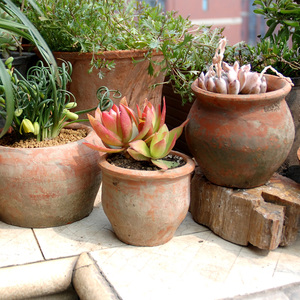 Açık kullanım için el yapımı büyük Terracotta saksı basit tasarım nefes özelliği yosun ve Bonsai ekimi için Ideal - Product Image 5