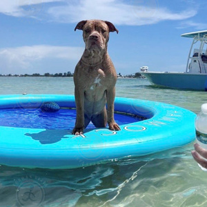 10ft Round Inflatable Floating Dock Stable Platform Raft Swimming Pool Mat With <strong>Mesh</strong> Dog <strong>Ramp</strong> - Product Image 4