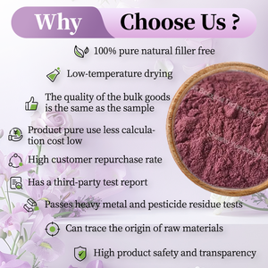Низкая цена, порошок экстракта черники 20:1, чистый органический порошок фруктового сока в европейском стиле - Product Image 2