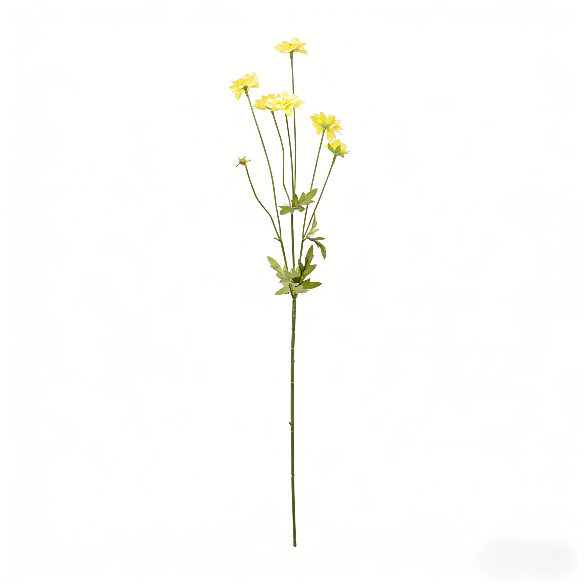 Light Yellow