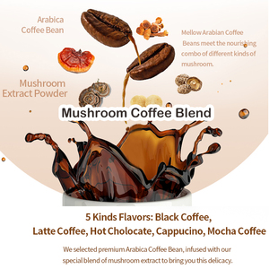 OEM hỗn hợp mushruoom bột pha trộn maitake, Chaga, đông trùng hạ thảo, sư tử bờm, ganoderma Reishi Nấm hữu cơ nấm bột - Product Image 5