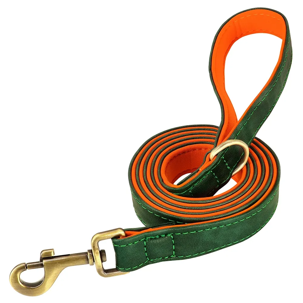 Guinzaglio verde