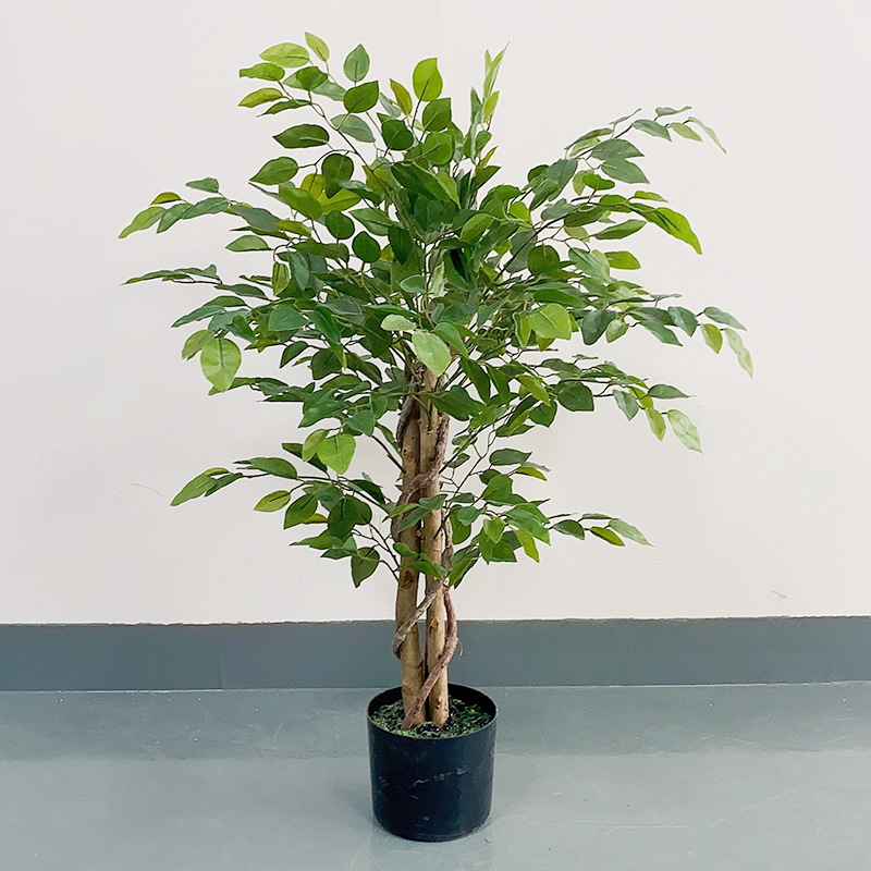 Banyan tree (feuilles de film)-90cm