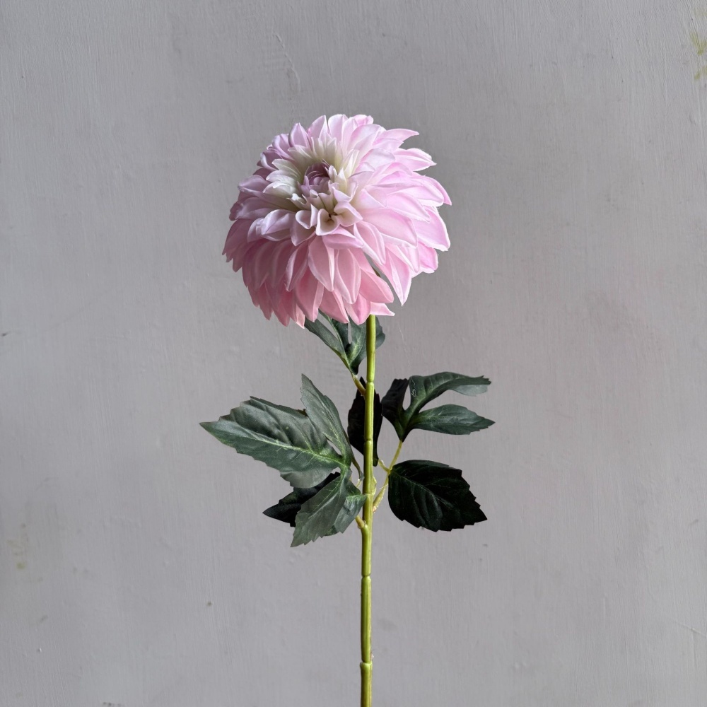 9# rosa chiaro