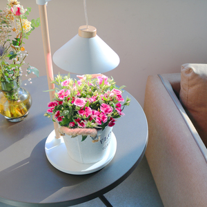 2024 זול סיטונאי חכם 9W מלא ספקטרום גידול אור שולחן Led צמח אור עץ עיצוב פופולרי עיצוב מקורה צמחים לגדל אורות - Product Image 6