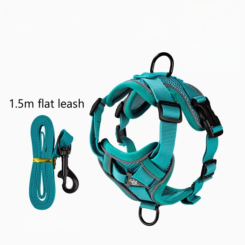 Ensemble de laisse cyan