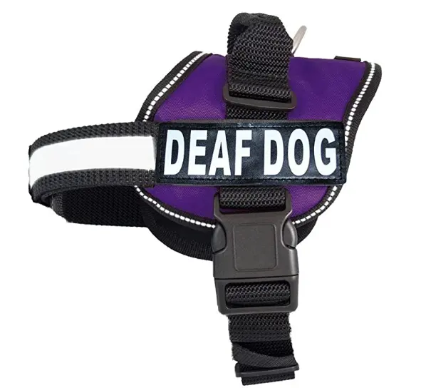 Chaleco ajustable reflectante, transpirable, suave, acolchado, para perros sordos, previene el acciden, arnés ciego para mascotas de tu perro por adelantado CINTAS