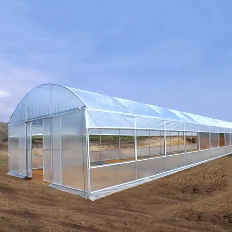 Harga rendah rentang tunggal Film plastik terowongan tomat rumah kaca Pertanian