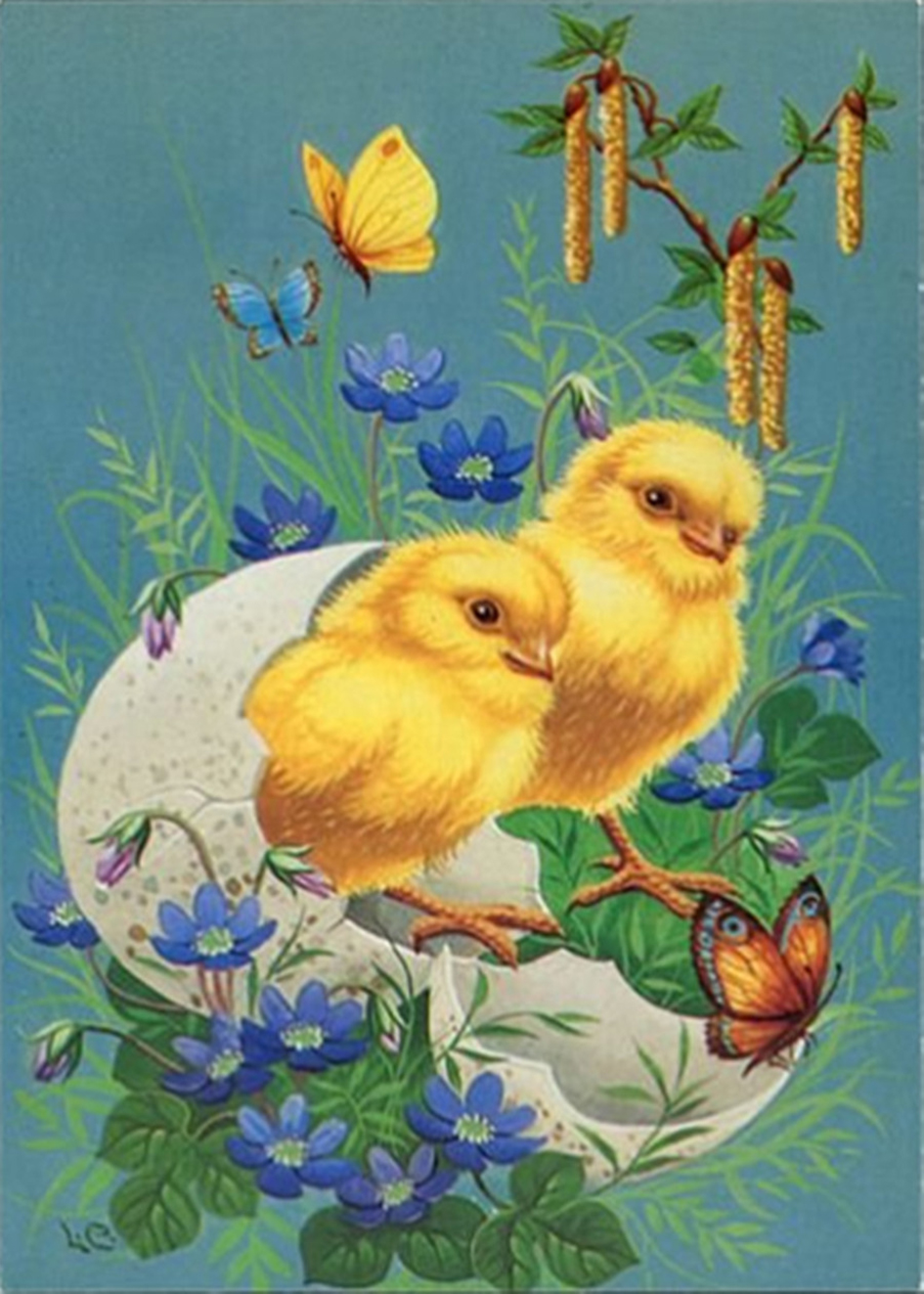 Poulet-3