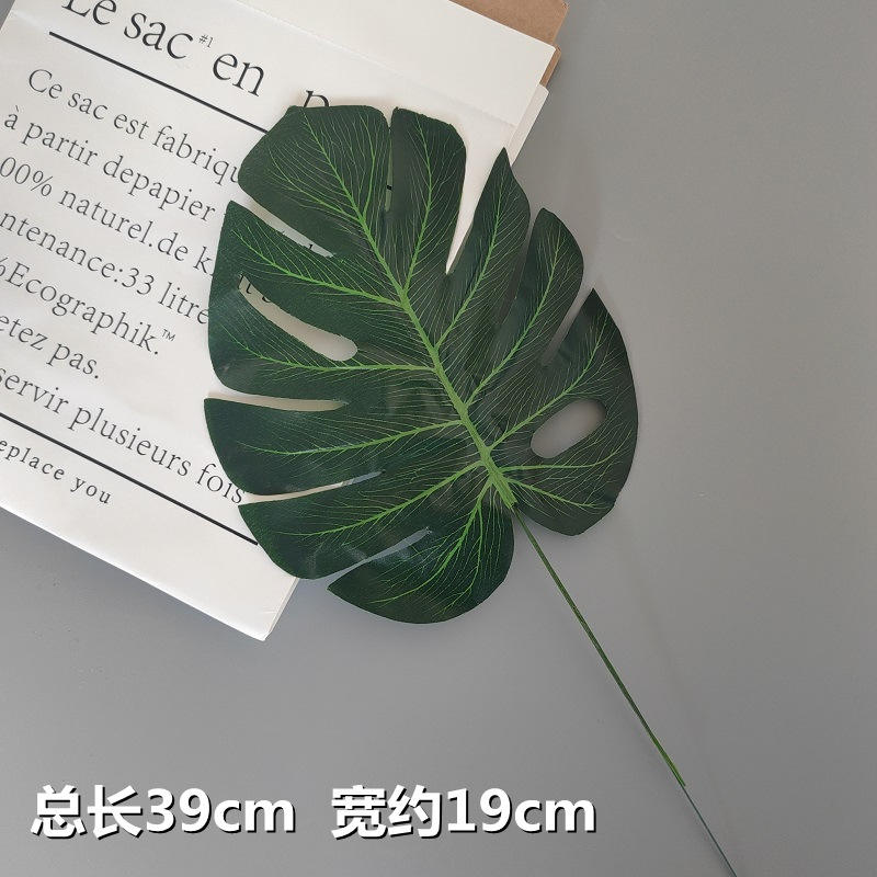 ใบหลังเต่า