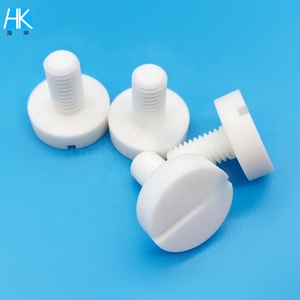 High <strong>End</strong> Customized Size M2 M3 M8 M12 M18 High Hardness Alumina Ceramic Slotted Screw