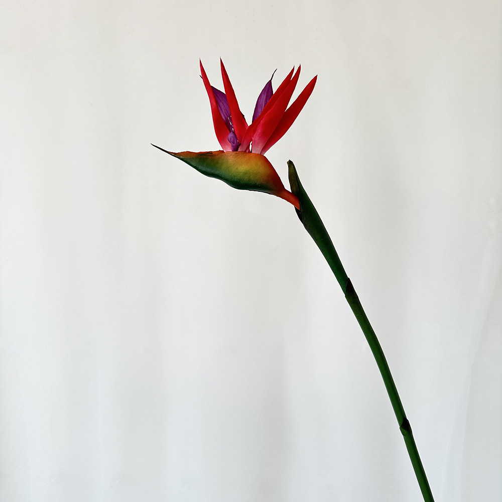 Petit rouge