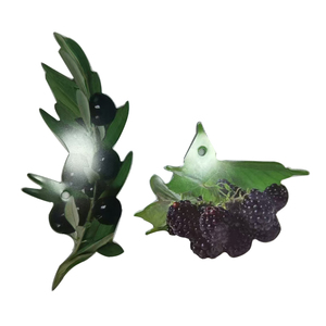 種子の成長ポット用弾性ひも付き防水野菜プラスチックタグフルーツ型ラベル - Product Image 2