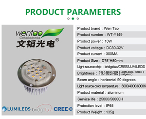 防水LEDモジュール10WLEDフルカラーモジュール芝生照明用SMD LEDモジュール - Product Image 6